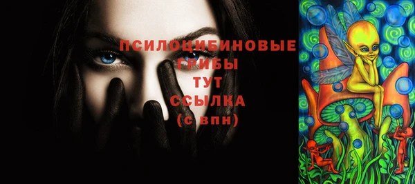 круглые Абаза