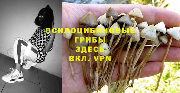 круглые Абаза
