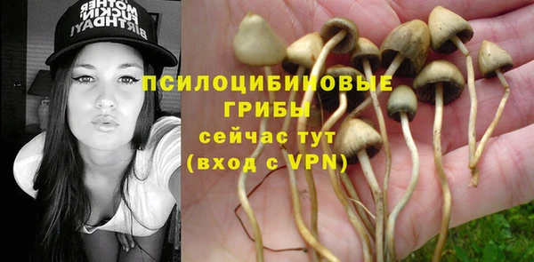 эйфоретик Магадан