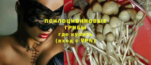 круглые Абаза