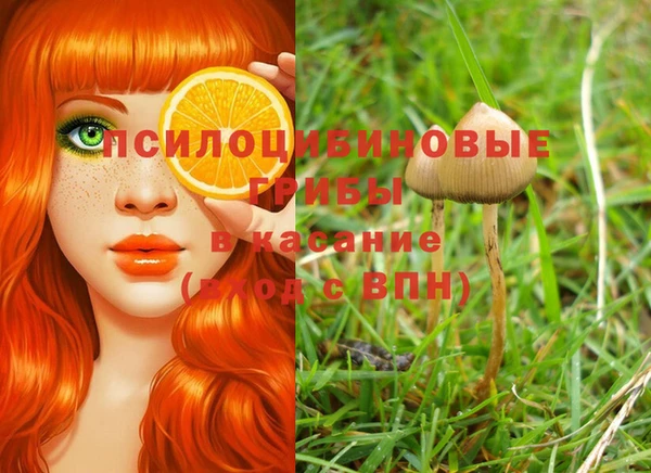 метадон Абинск